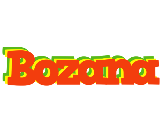 Bozana bbq logo