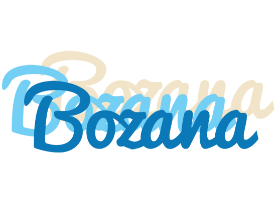 Bozana breeze logo