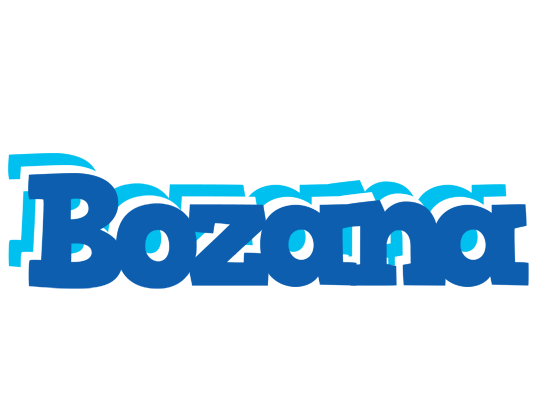 Bozana business logo