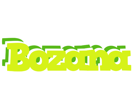 Bozana citrus logo