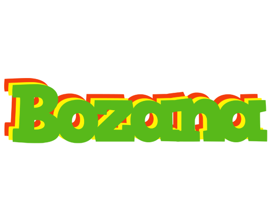 Bozana crocodile logo