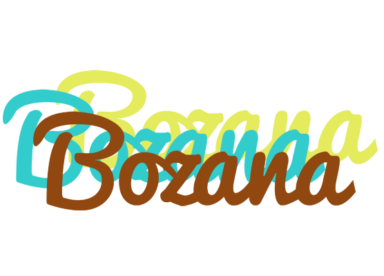 Bozana cupcake logo