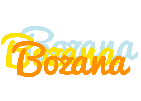 Bozana energy logo