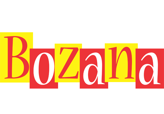 Bozana errors logo