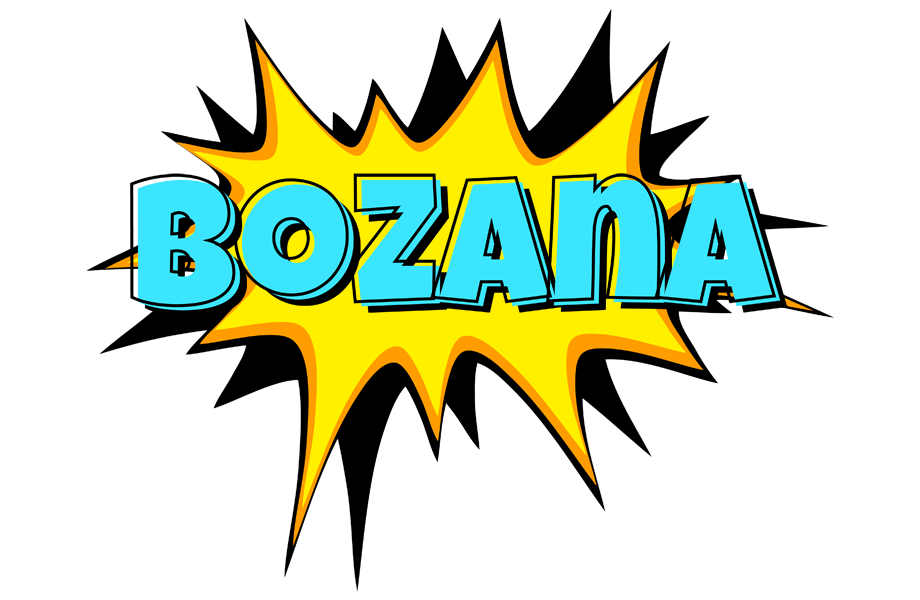 Bozana indycar logo