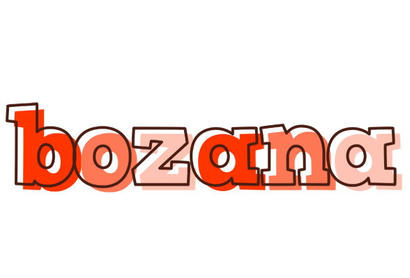 Bozana paint logo