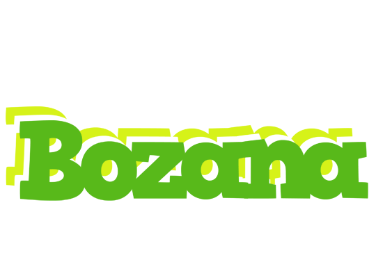 Bozana picnic logo