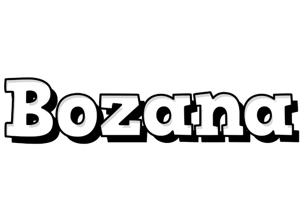 Bozana snowing logo