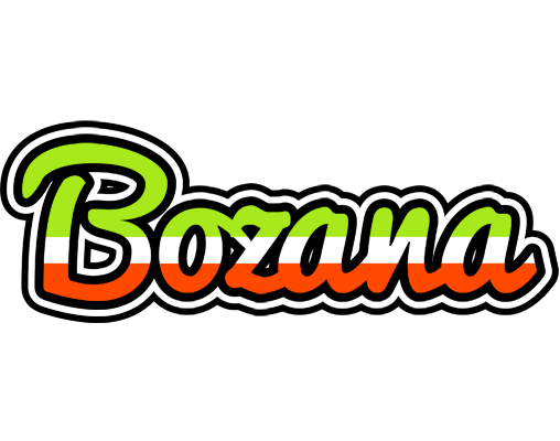 Bozana superfun logo