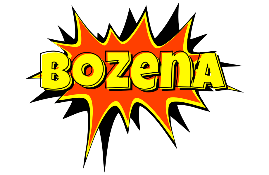 Bozena bazinga logo