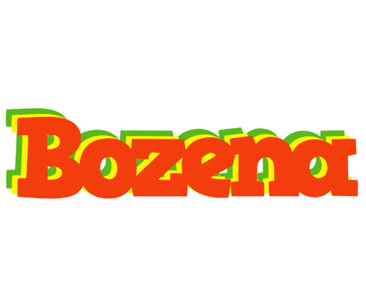 Bozena bbq logo