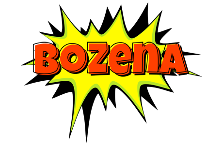 Bozena bigfoot logo