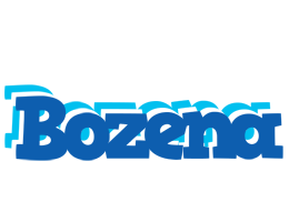 Bozena business logo