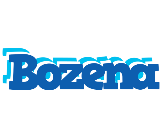 Bozena business logo