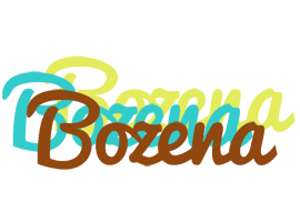 Bozena cupcake logo