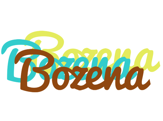 Bozena cupcake logo