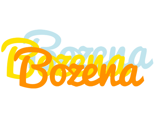 Bozena energy logo