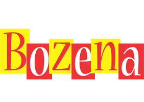 Bozena errors logo