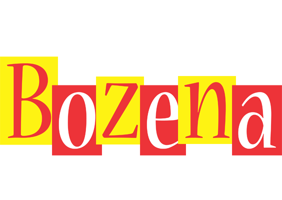 Bozena errors logo