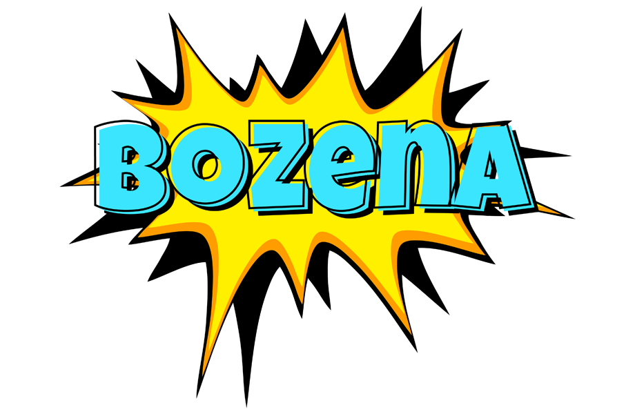 Bozena indycar logo