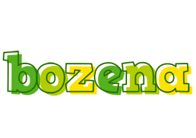 Bozena juice logo
