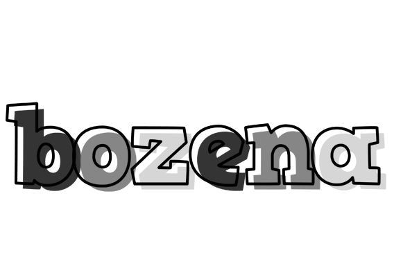 Bozena night logo