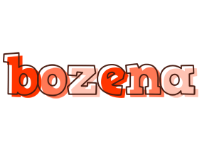 Bozena paint logo