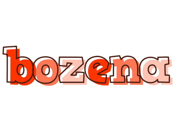 Bozena paint logo