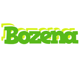 Bozena picnic logo