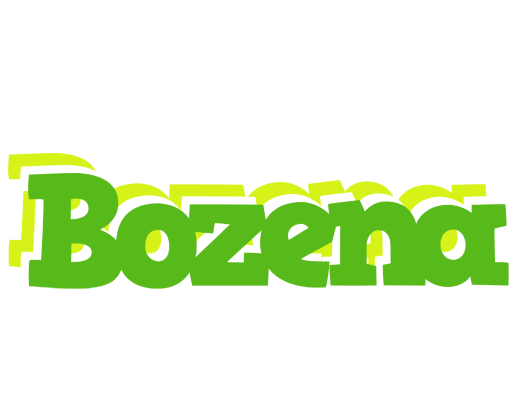 Bozena picnic logo