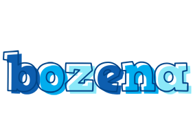 Bozena sailor logo