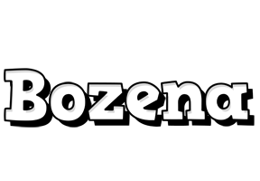 Bozena snowing logo