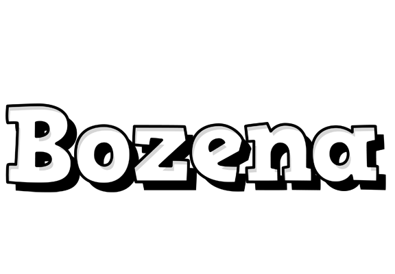 Bozena snowing logo