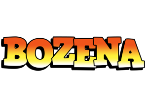 Bozena sunset logo