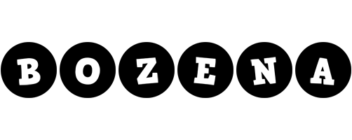 Bozena tools logo