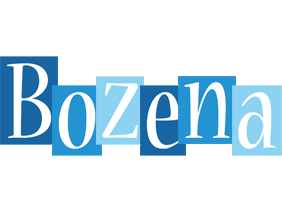 Bozena winter logo