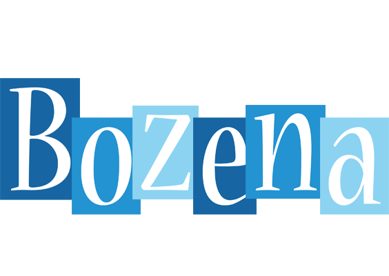 Bozena winter logo