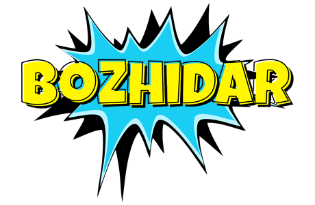 Bozhidar amazing logo