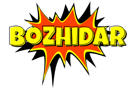 Bozhidar bazinga logo