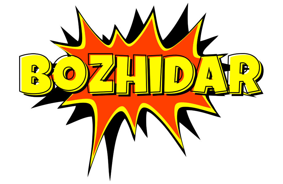 Bozhidar bazinga logo