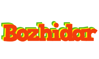 Bozhidar bbq logo