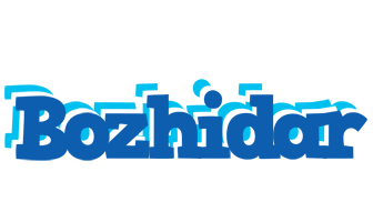 Bozhidar business logo