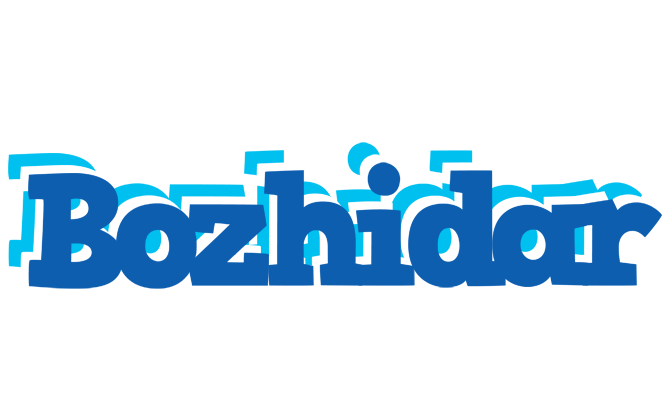Bozhidar business logo