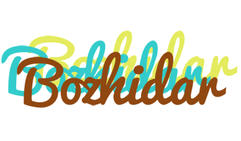 Bozhidar cupcake logo