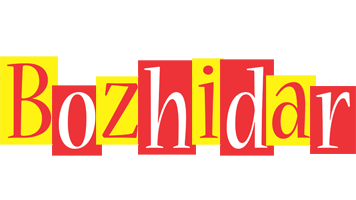 Bozhidar errors logo