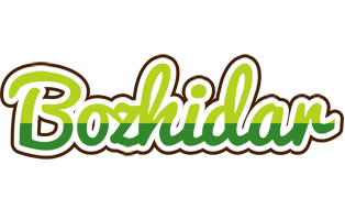 Bozhidar golfing logo