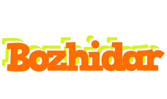 Bozhidar healthy logo