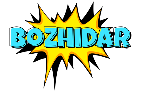 Bozhidar indycar logo