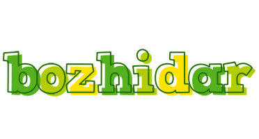 Bozhidar juice logo