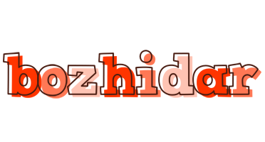 Bozhidar paint logo